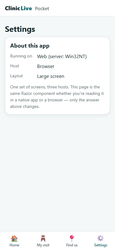 The same Settings page in a 375-pixel-wide browser: identical card and wording, but reading Running on Web (server: Win32NT), Host Browser, Layout Large screen.