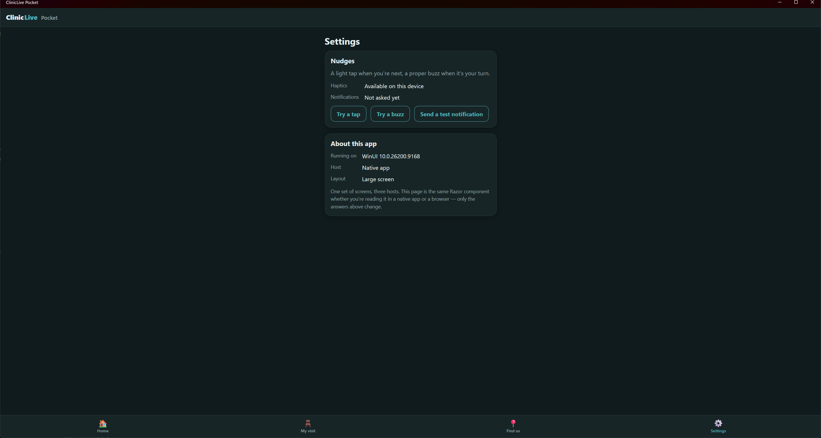 The Windows app in dark mode, in a normal window: the Settings page with a Nudges card reading Haptics 'Available on this device', Notifications 'Not asked yet', and three outlined buttons — Try a tap, Try a buzz, Send a test notification. An About card says WinUI 10.0.26200.9168, Native app, Large screen. A bottom tab bar stretches across the full width.